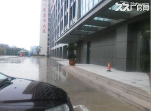 出租国际口岸航运物流贸易办公室，可注册进出口权及食品与技术进出口服务