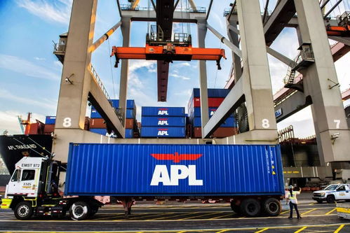 国际航运市场动态 泰国海运费用上调与进出口货物政策解读