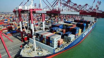 中韩中澳自贸协定实施一周年 广州关区技术进出口受惠超1亿元