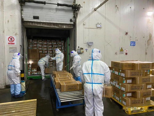 园区进口冷链食品集中监管仓正式启用 技术进出口与食品安全管控的双重革新